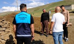 Van İpekyolu'nda kuduz vakası: Arıtoprak Mahallesi (Zeranıs) karantinaya alındı