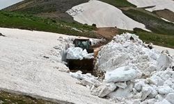 Bitlis’te Karla Mücadele Çalışması