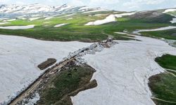 Gürpınar Norduz Bölgesinde Yayla Yolları Ulaşıma Açılıyor