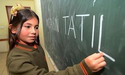 MEB’de 2025-2026 eğitim öğretim yılı yarın sona eriyor