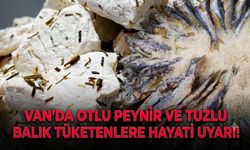 Van’da otlu peynir ve tuzlu balık tüketenlere hayati uyarı!