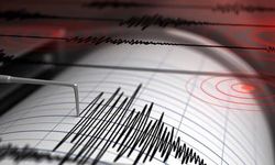Van Çatak'ta Korkutan Deprem