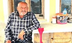Ayı saldırısına uğrayan yaşlı adam hayatını kaybetti