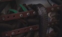Elektrik panosuna giren yılan apartmanı elektriksiz bıraktı