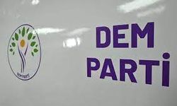 DEM Parti Van aday adayları belli oldu