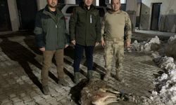 Van’da yaban keçisi avlayanlara ceza yağdı