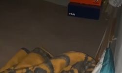 Van Erciş'te 12,5 Yıl Hapis Cezası Olan Müdür Gizli Bölmede Bulundu