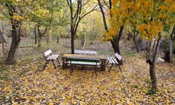 Van’ın Gevaş ilçesi sonbaharın büyüleyici renklerine büründü