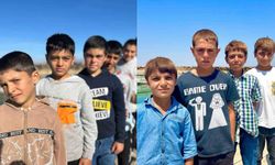 Van Gölü’nde sararan saçlar eski rengine döndü