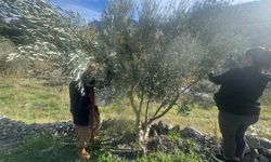 88 yaşındaki Emine nine gençlere taş çıkarıyor