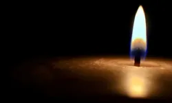 Gürpınar'da yarın elektrikler kesilecek!