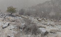 Van Bahçesaray’da kar esareti başladı