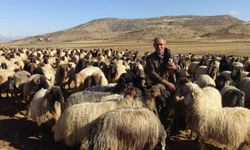 Göçerlerin zorlu yolculuğu