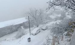 Van’ın Bahçesaray ilçesi beyaza büründü