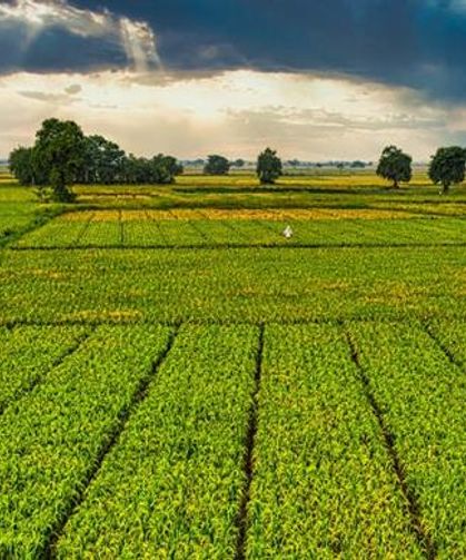 Çiftçilere 1 milyar 46 milyon liralık tarımsal destek