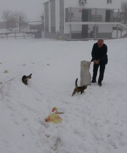 Yaklaşık 2 Bin Nüfuslu Köyde Kışın Sadece Bir Aile Kalıyor