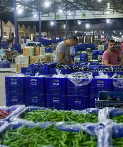 Van Sebze Hali’nde fiyatlar güncellendi