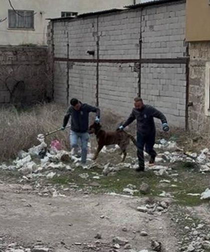 Köpek Saldırısına Uğrayan Çocuğun Babası Konuştu: "Çocuğumu Bırakması İçin Her Şeyi Denedim"