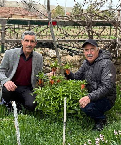Mahallelerindeki laleleri gözleri gibi koruyorlar