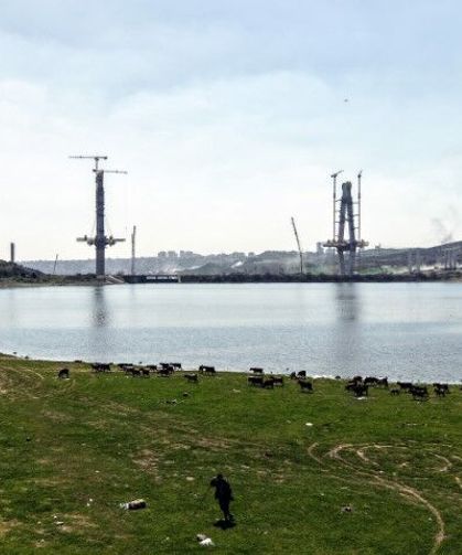 İstanbul’un Yeni Yüzü: Sazlıdere Köprüsü Yükselirken Keçiler Merada Otluyor