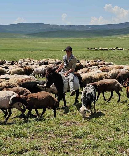 Yaylacılar yaz mesaisine başladı: Sütey Yaylası’nda yoğun hareketlilik