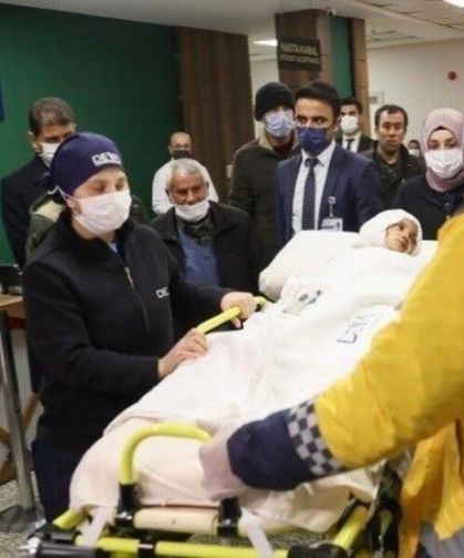 Mahkemeden Karar: Pitbullar Silah Sayıldı