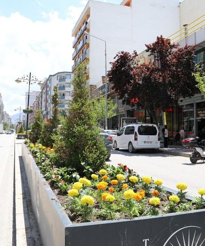 Van’da caddeler çiçek açtı