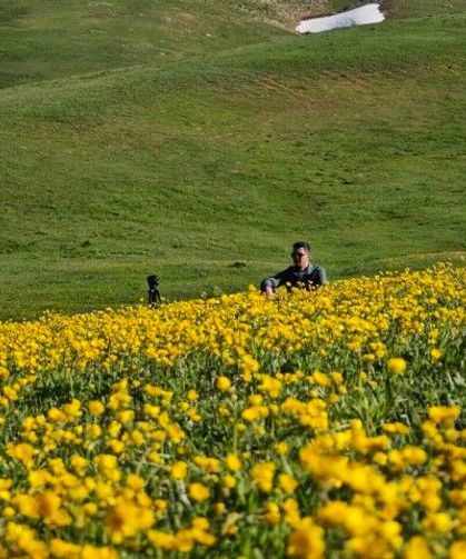 Bitlis’te Doğanın En Güzel Hali: Sarı Çiçek Tarlaları