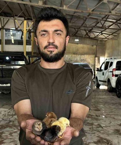 Hakkari genç bir belgesel izledi, hayatı değişti: Bir azmin hikayesi