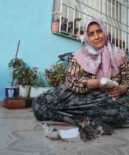 Hatay’da Yürek Isıtan Merhamet: Yavru Kedilere Anne Oldu