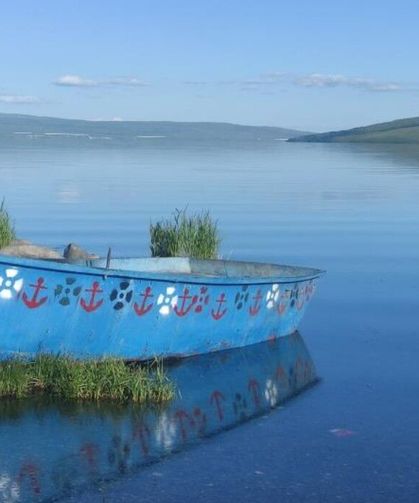 Çıldır Göl’ünde su seviyesi zirveye çıktı