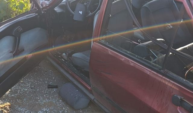 Kaldırımda yürürken dehşeti yaşadılar