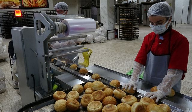 Fabrika değil okul: Yıllık cirosu 1,5 milyon