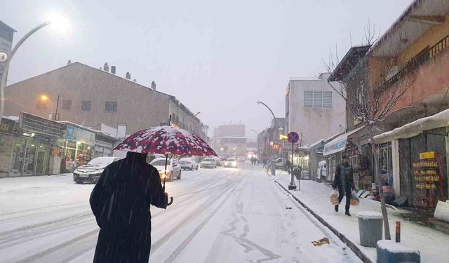 Van'ın Başkale ilçesinde kar yağışı etkili oldu