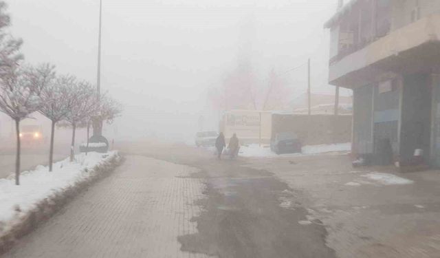 Van Başkale’de sis etkili oldu