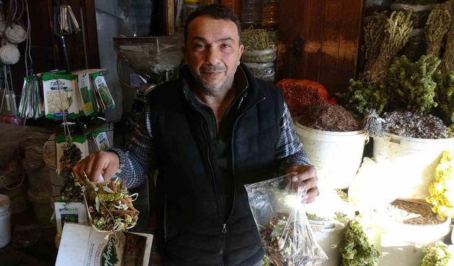 Aktarlardan soğuk havalara karşı kış çayı önerisi