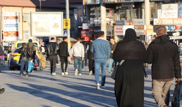 Çekirdek Aile Küçülüyor, Yalnız Yaşam Artıyor