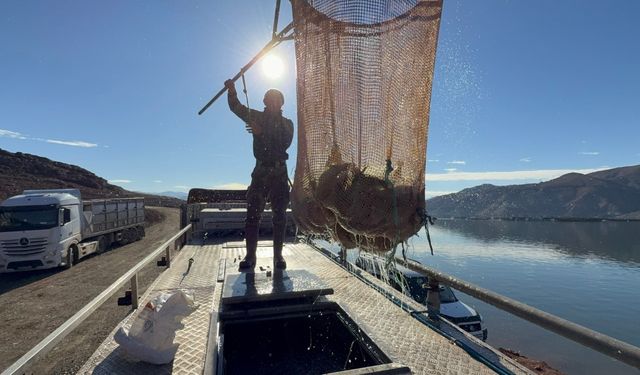 Denizi Olmayan Tokat’tan Dünya Sofralarına Somon İhracatı