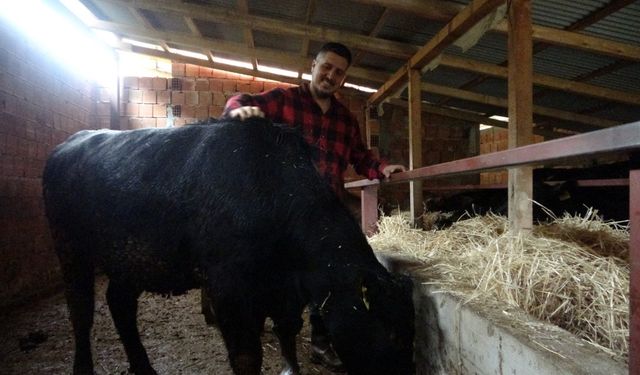 “Robot olacağıma çoban olurum” deyip memleketine döndü