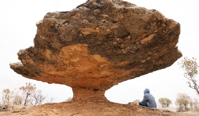 Buzul çağ kalıntısı: Tam 6 milyon yıl önceye ait