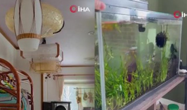 Japonya’da 6.7 Büyüklüğünde Deprem: Tsunami Uyarısı Yapıldı