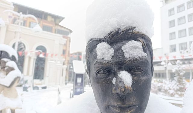 Van dahil 21 il için kar alarmı: Soğuk hava dalgası geliyor