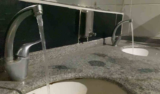 Gıda Zehirlenmelerine Dikkat: Salmonella Mutfakta Gizli Tehdit