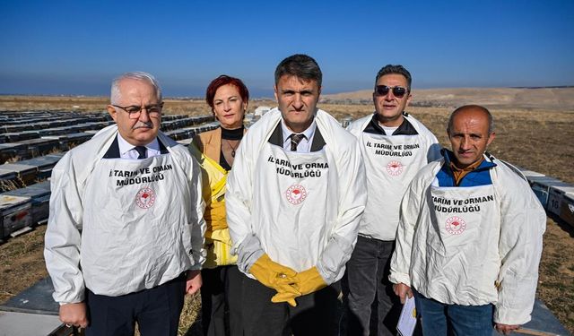 Gürpınar’ın Norduz Bölgesinden Gelen Gurur: Altın Madalyalı Bal