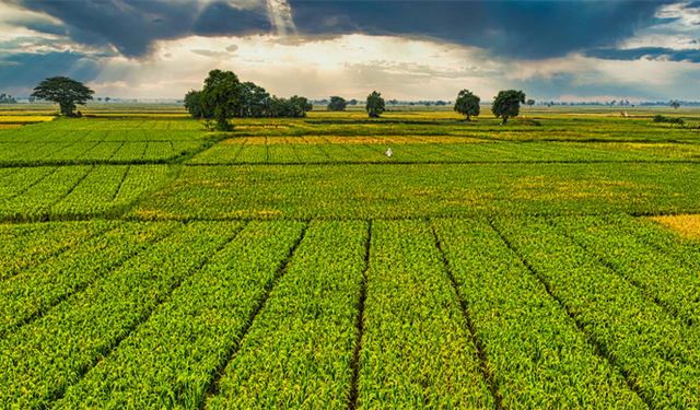 IPARD-III kapsamında 156 Yerel Eylem Grubuna 2,2 milyar TL hibe