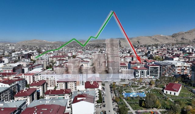 Van ekonomisi ile ilgili çarpıcı açıklama!