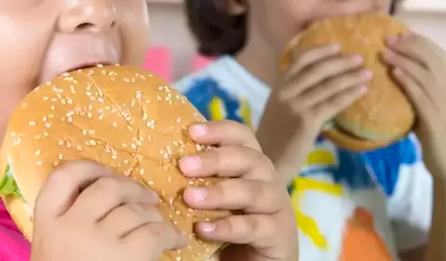 Çocuklarda paketli gıda tüketimi obezite ve erken ergenliği artırıyor