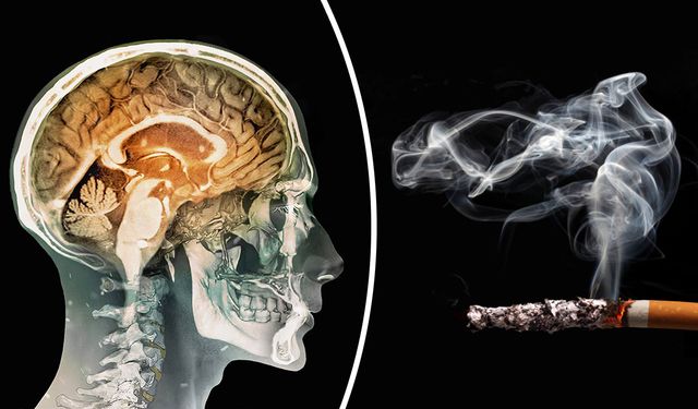 Sigara İçiyorsanız Bu Kontrolleri Atlamayın