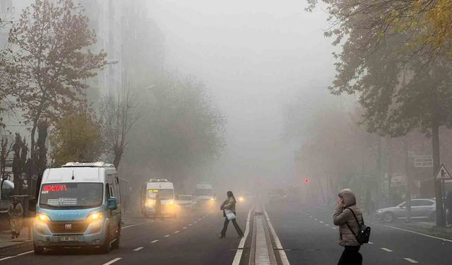 Uzman Uyardı: Sisli Havalarda Solunan Hava Sağlığı Tehdit Ediyor