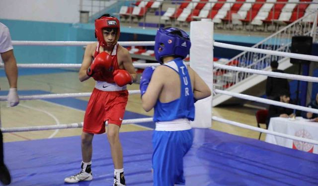 Türkiye-İran-Nahçıvan Boks Dostluk Turnuvası nefes kesti